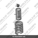 Spring, Outer, Intake Valve (T1132179)