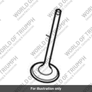 Inlet Valve, Hollow (T1139010)
