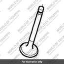 Valve, Exhaust (T1139092)