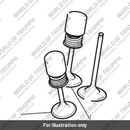Valve, Inlet, Dia 37.9, TI (T1139910)