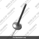 Exhaust Valve (T1139985)