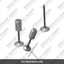 Intake Valve (T1139986)