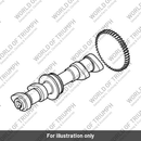 Torsion Spring, 2.8mm (T1140058)