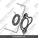 Gasket, Metal Tensioner (T1140071)