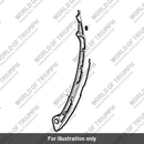Tensioner Blade, Aluminium (T1140378)