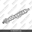 Sprocket, Camshaft, 34T, OTL (T1140888)