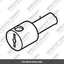 Shaft, Idler, Cam, Shouldered (T1143490)