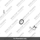 Camshaft Assembly, Exhaust (T1143619)