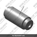 Hydraulic Cam Chain Tensioner (T1145040)