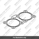 Gasket, Cyl Head, 2 Cyl, MLS (T1150940)