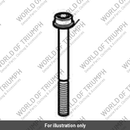 Bolt, TX, M10 x 81 (T1158855)