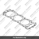 Gasket, Cyl Head, 3 Cyl, 110.2 (T1159960)