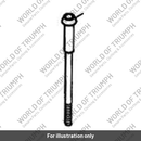 Bolt cylinder head (T1160890)