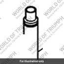 Tube, Air (T1161100)