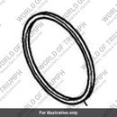 Seat spring (T1170291)