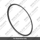 Spring, Seat (T1170362)