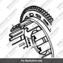 Drum (T1170631)