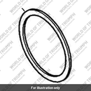 Seat, Judder Sprint (T1170723)