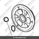 Plate, Clutch Pressure (T1170802)