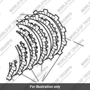Disc, Friction, Clutch (T1170806)