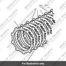 Clutch Plate (T1170816)