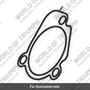 Gasket, Slave Cylinder, Clutch (T1171711)