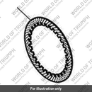 Disk, Clutch Friction (T1172004)