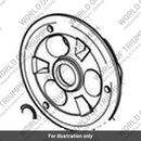 Plate, Clutch Pressure (T1172005)