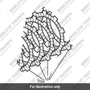 Disc, Friction, Clutch A (T1174400)