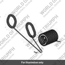 Clutch Spring, 900 (T1175566)