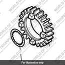 Gear, Input, 6th, 23T (T1180116)