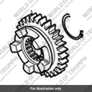Gear, Output, 6th, 24T (T1180121)