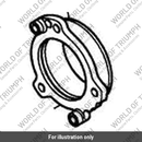Input Shaft Bearing Housing (T1180294)