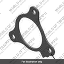 Bearing Retainer Plate (T1180297)