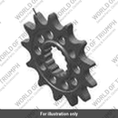 Sprocket, Front, 13T (T1180438)