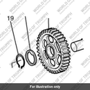 Gear output (T1180532)