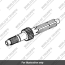 Input shaft and gear (T1180598)