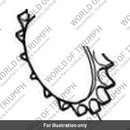 Front Sprocket (T1180903)