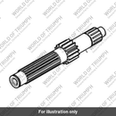 Input shaft and gear (T1180908)