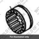 Bush (T1181131)