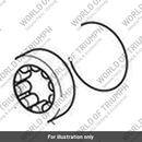 Restrictor Plate, Oil (T1181293)