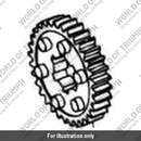 Output gear (T1181508)