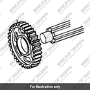 Output gear (T1181540)