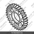 Gear, Output, Third (T1182023)