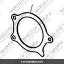 Plate, Retainer, Bearing, Input (T1182203)