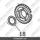 Gear, Output, 4th, 31T (T1182212)