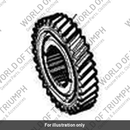Gear, Pinion, 32t Helical, Fixed (T1183101)
