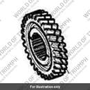 Gear, Output, 30t, Helical Fixed (T1183109)