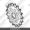 Sprocket, Output, 17T (T1185517)