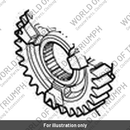 Gear, Output, 5th, 31T (T1186985)